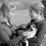 lis-one-of-our-dogs